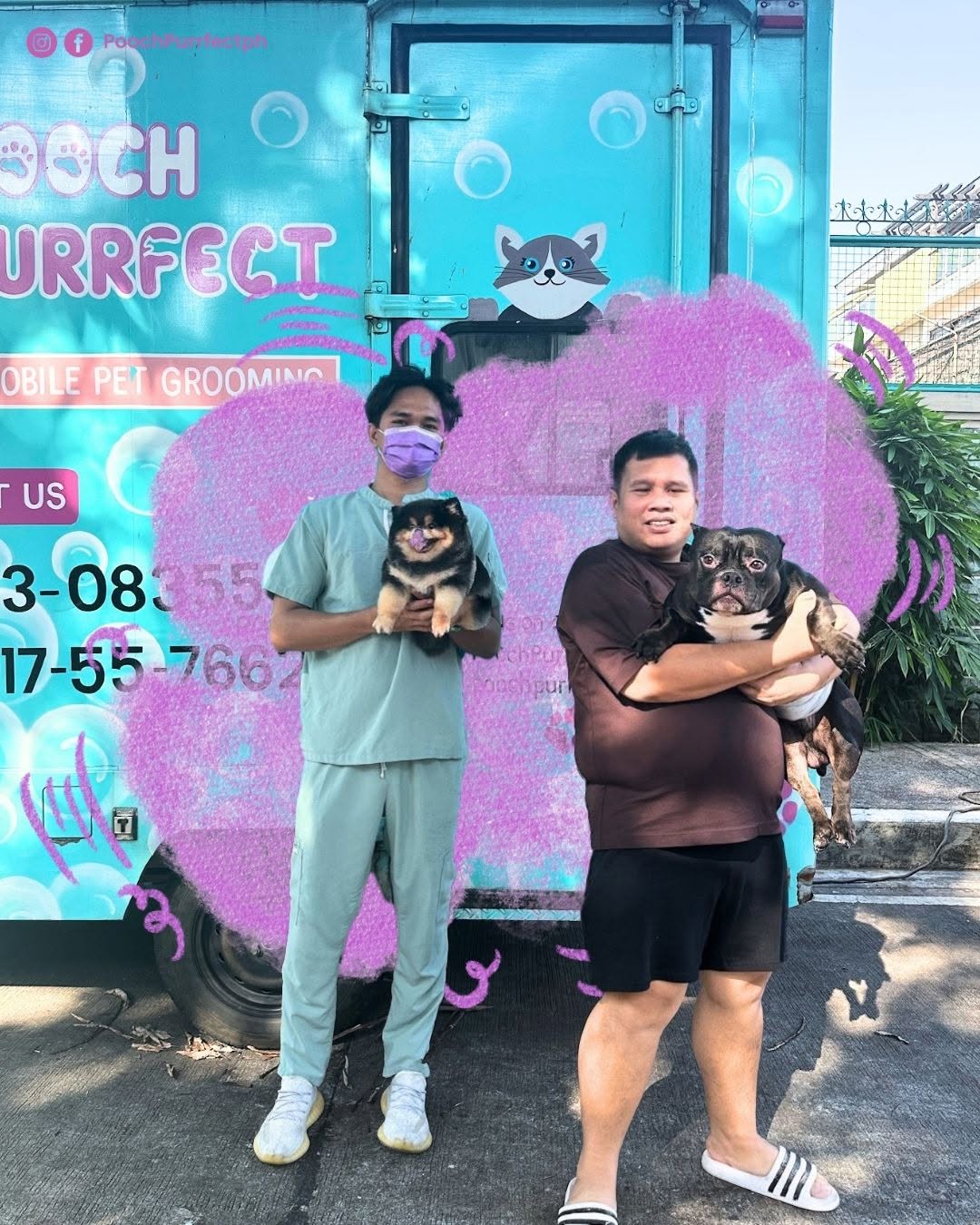 A happy dog being gently groomed